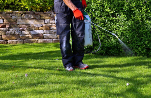 Latest Tools and Products