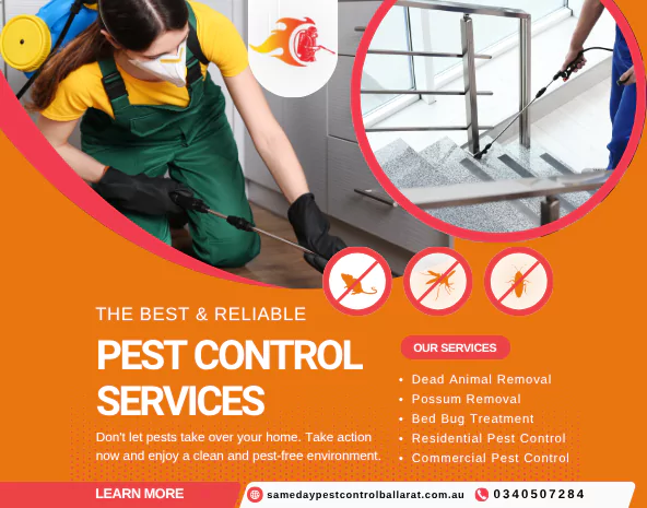 Pest Control Ballarat